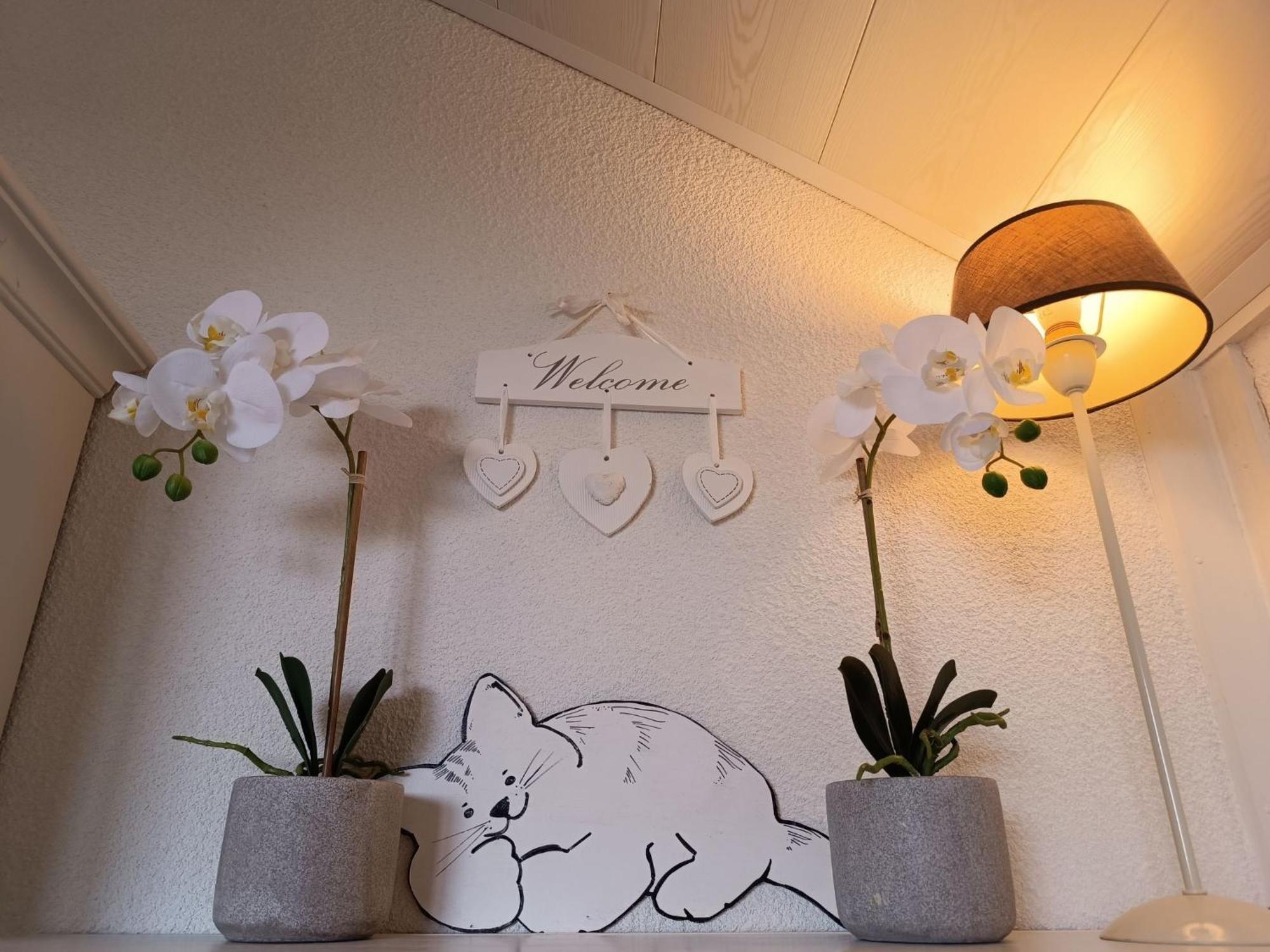 Apartment Luna By Interhome De Haan Eksteriør billede